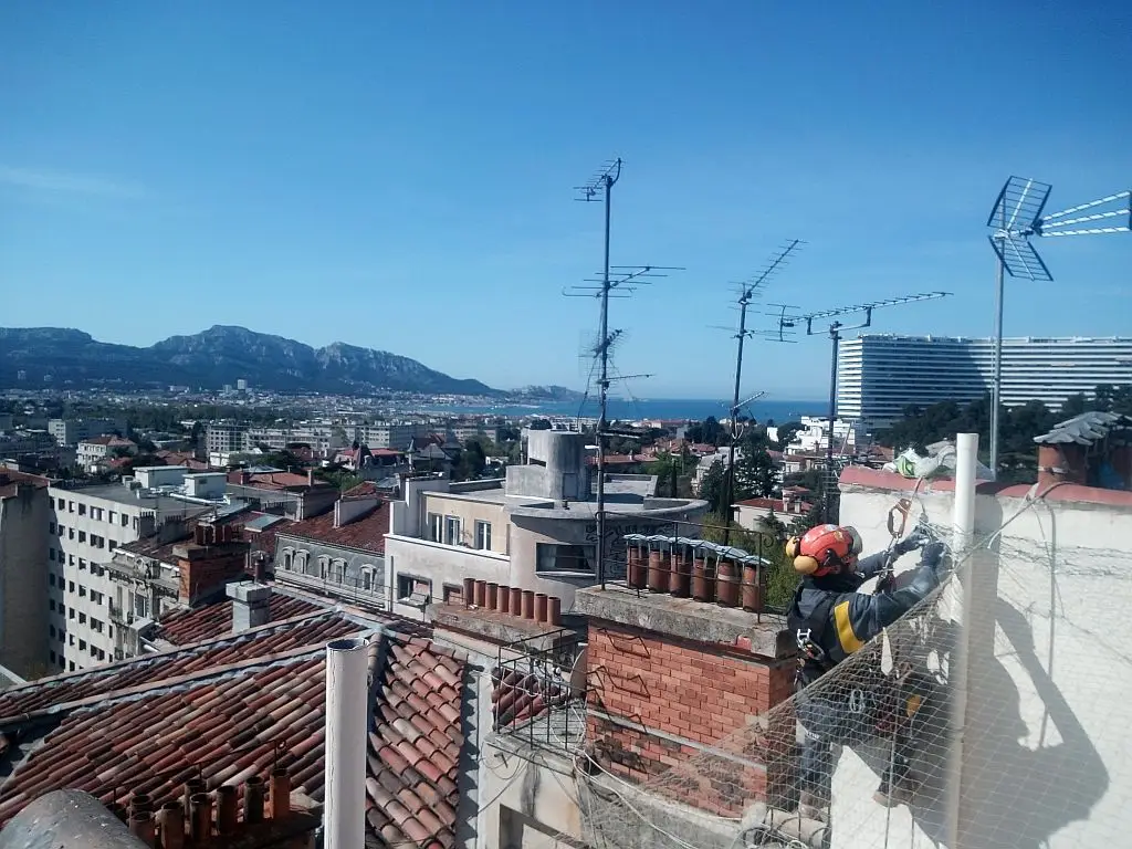 Pose de filets anti volatiles à Marseille