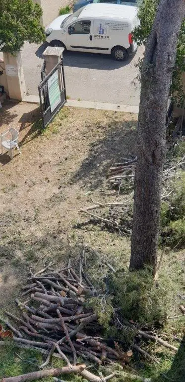 Démontage d'arbre à Istres