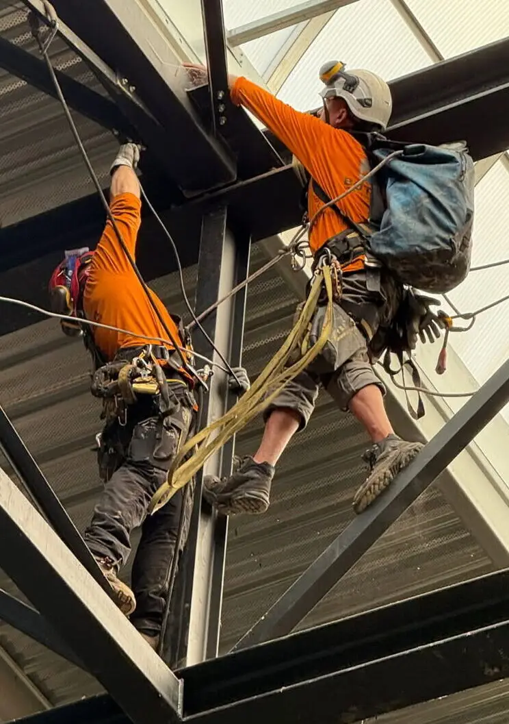 Cordistes réalisant des travaux en hauteur dans une usine près de Marseille