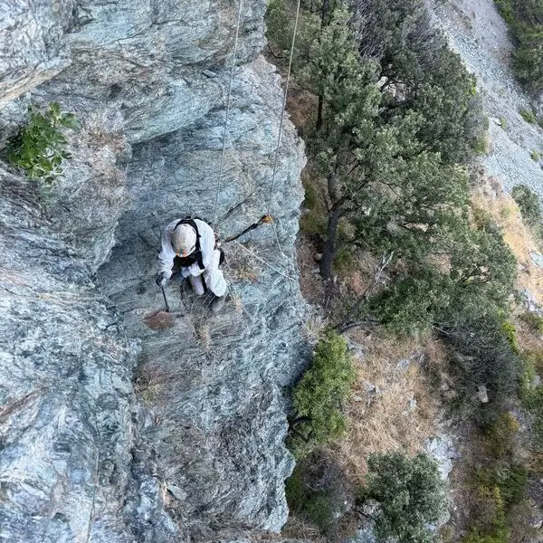 Cordiste en Purge d'éléments pour sécurisation d'une falaise dans une carrière amianté en Corse