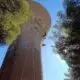 Nettoyage et passivation en hauteur d'armatures métalliques d'un château d'eau à Fos-sur-mer